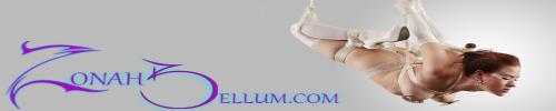 http://zonahbellum.net/